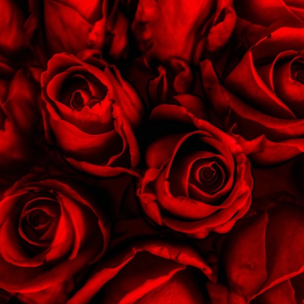 Meet your Posher, Regina